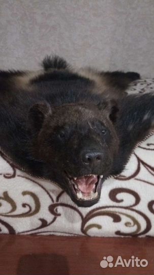 Коврик с Росомахи