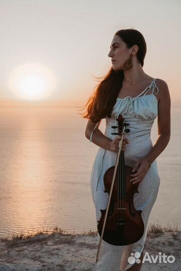 Живая музыка. Скрипка