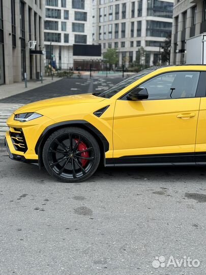 Lamborghini Urus 4.0 AT, 2021, 33 000 км