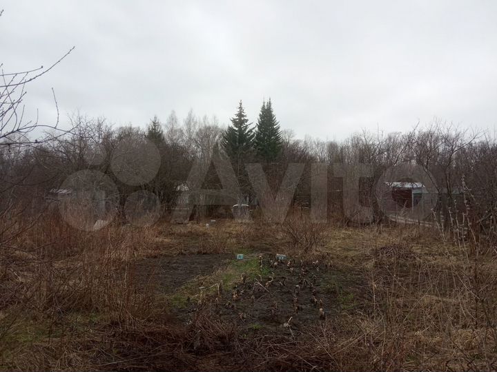 Участок 10 сот. (СНТ, ДНП)