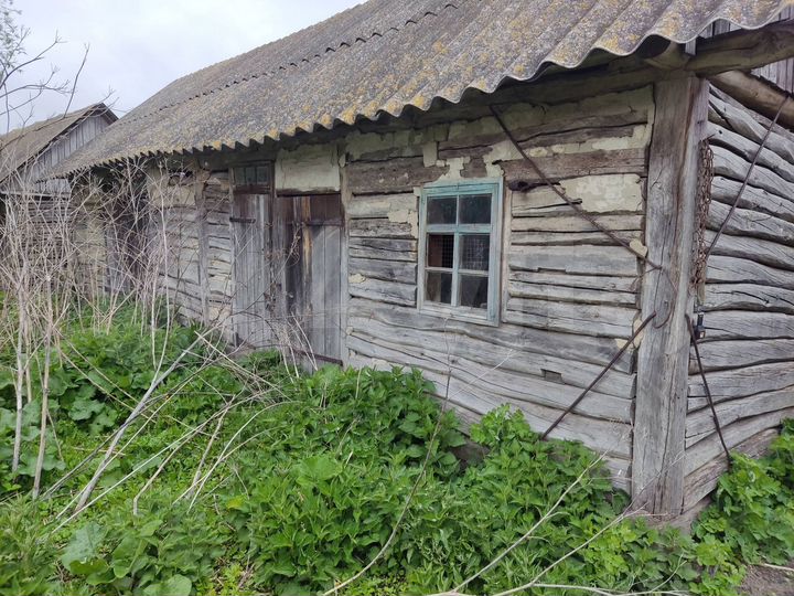 Участок 50 сот. (ИЖС)