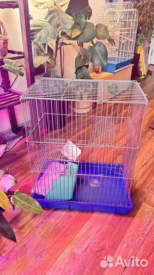 Клетка для грызунов