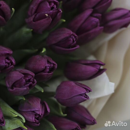 Фиолетовые тюльпаны в букете в оформлении