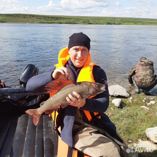 Рыбалка на Трофейного Хариуса. Полярный Урал