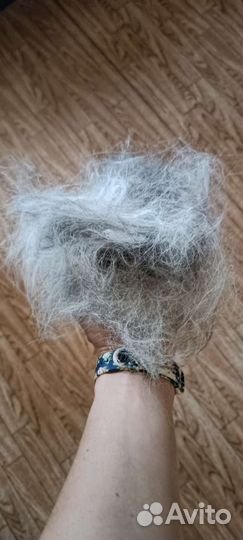 Собачья шерсть/пух корги