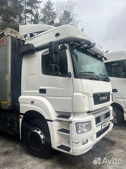 КАМАЗ 5490, 2019