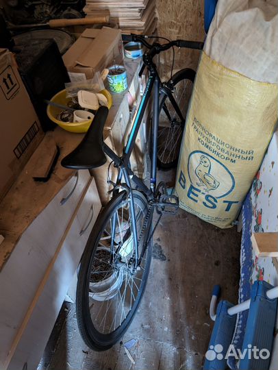 Black One Urban 700 (2021)