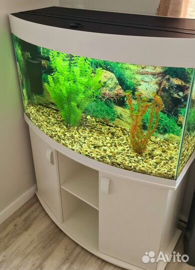 Аквариум с тумбой 250л