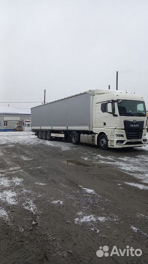 MAN TGX, 2023