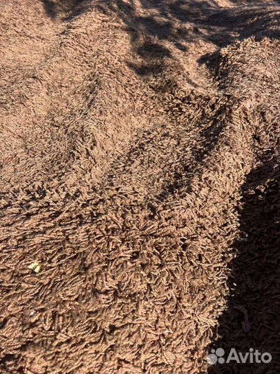 Ковровое покрытие