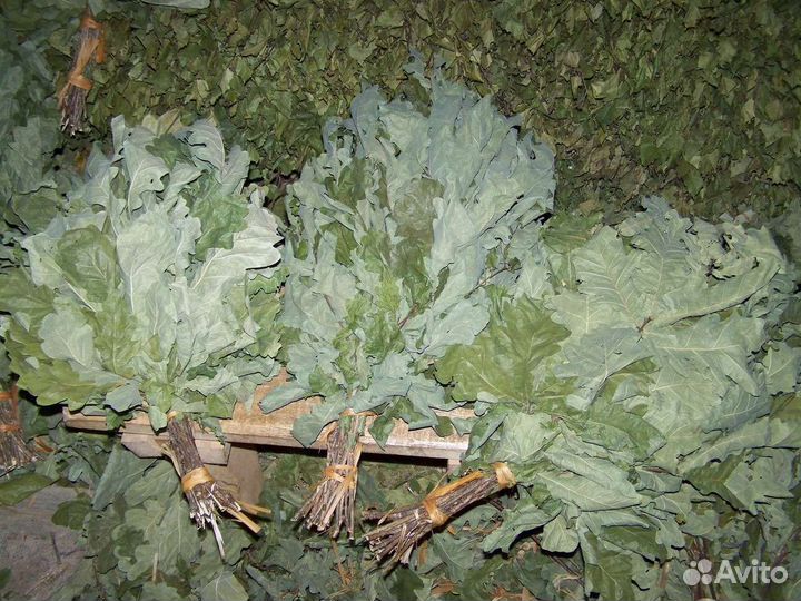 Дубовые, березовые, пихтовые веники для бани