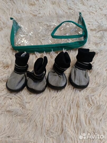 Обувь для собак