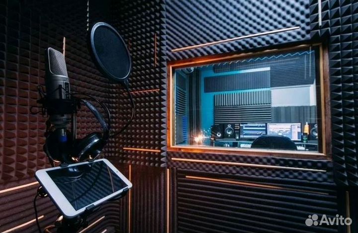 Запись вокала выезд на дом