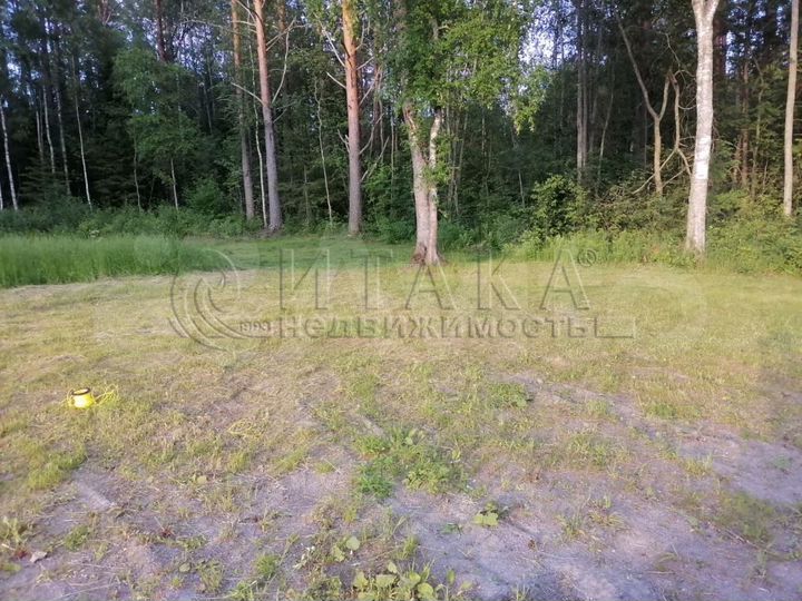 Участок 10 сот. (СНТ, ДНП)