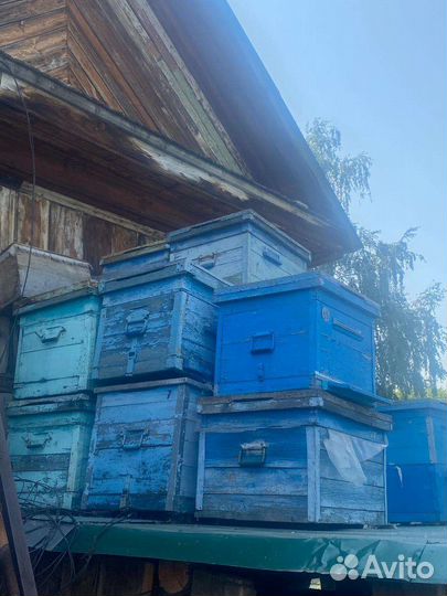 Ульи для пчел б/у, сушь дадан