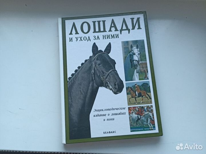Энциклопедия Лошади и уход за ними