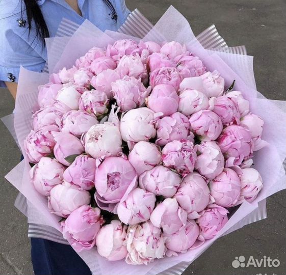 Пионы от производителя. Доставка в срок 24/7