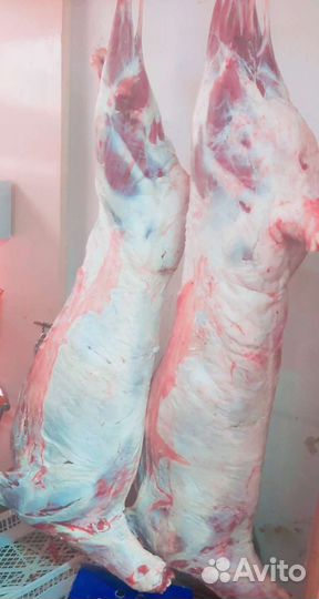 Мясо халяль колбаса сосиски. Гушти Халол+доставка