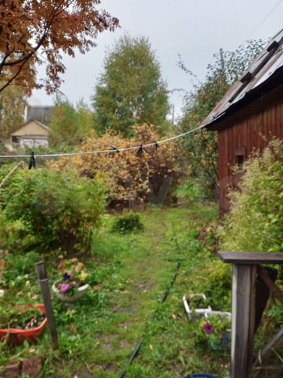 Дача 29 м² на участке 5 сот.