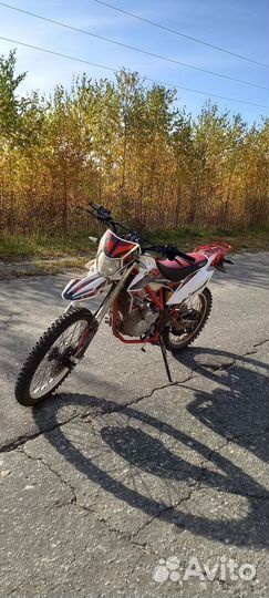 Wels MX250R