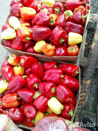 Овощи и фрукты оптом