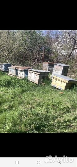 Улей для пчел бу