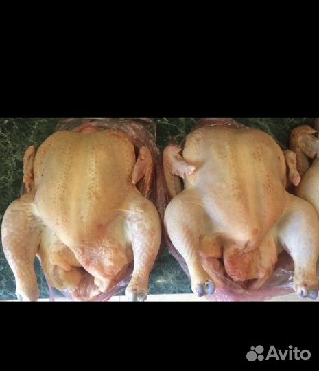 Мясо домашнего бройлера