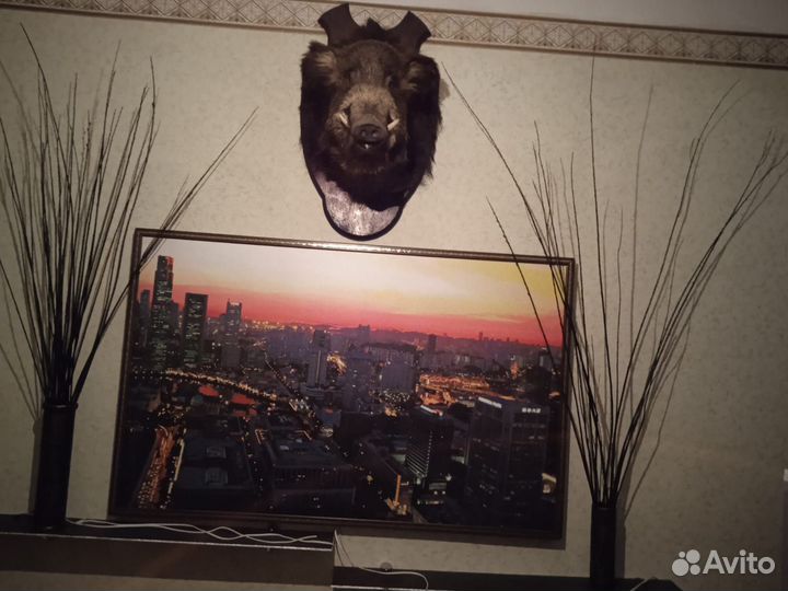 Чучело головы кабана