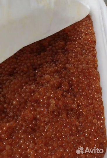 Акция Икра красная горбуши