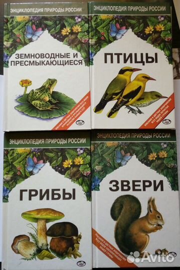 Книги для детей и школьников