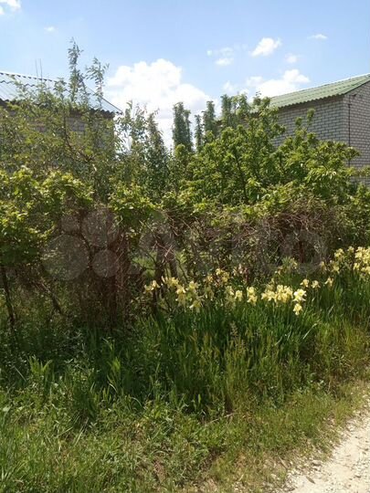 Дача 36 м² на участке 5,5 сот.