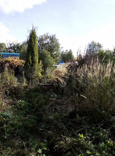 Дача 40 м² на участке 4 сот.