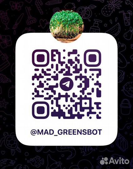 Микрозелень Лук зеленый