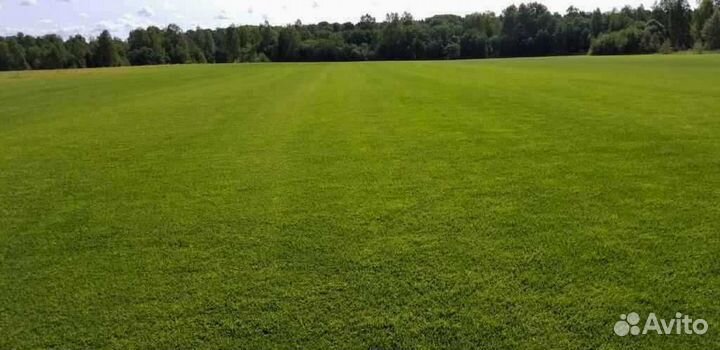 Укладка рулонного газона