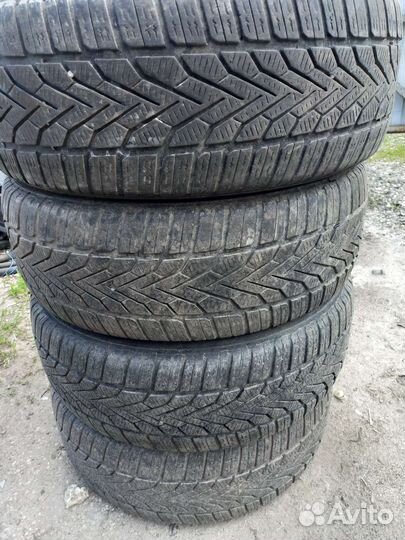 Semperit Speed Grip 2 205/55 R16