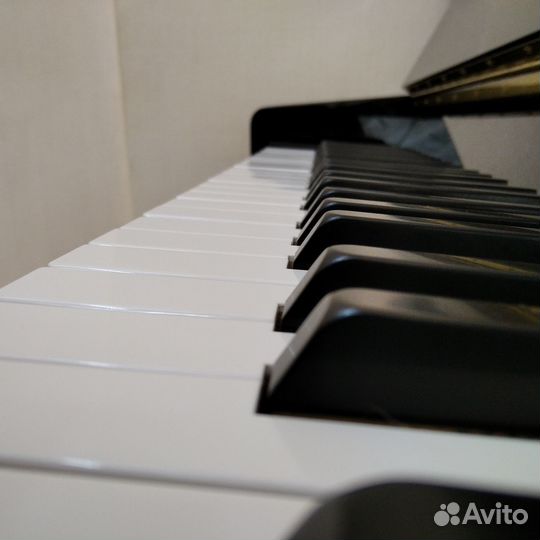 Репетитор по сольфеджио