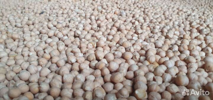 Нут, семечки, проса,сафлор,подсолнечное масло