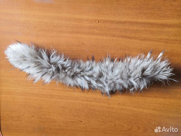 Енот и песец