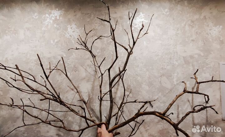 Коряги для интерьера