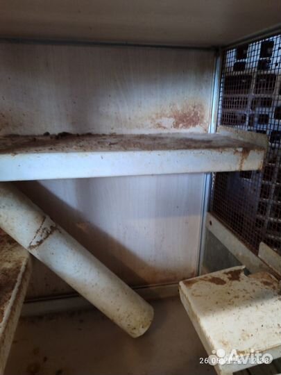 Клетка витрина для грызунов отдаю самовывоз
