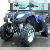 Квадроцикл (ATV) beorn 200