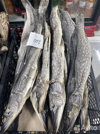 Вяленая сушеная рыба