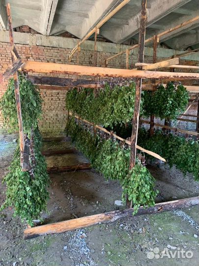 Веники для бани