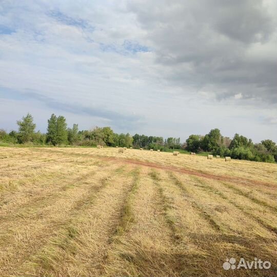 Сено в рулонах
