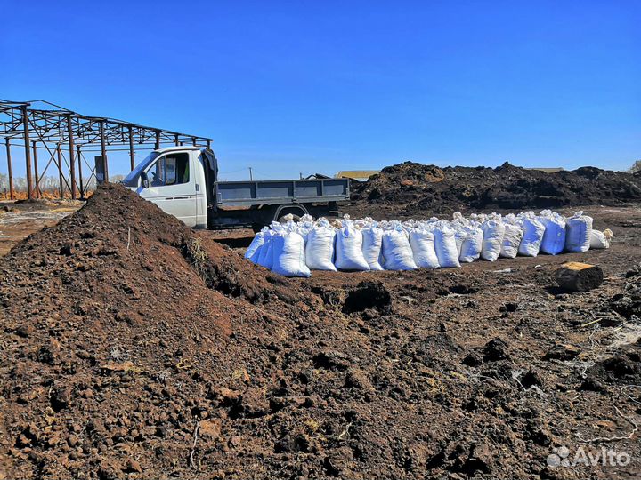 Конский навоз