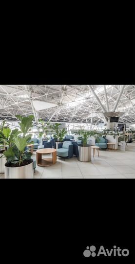 Проходы в бизнес зал