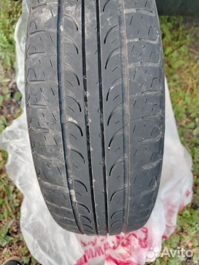 Tunga Zodiak 175/65 R14