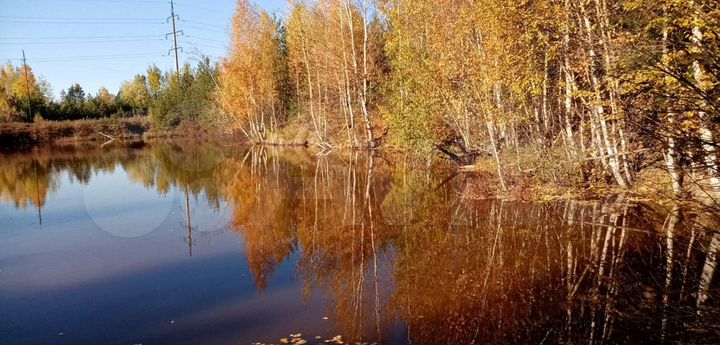 Участок 4,8 сот. (СНТ, ДНП)