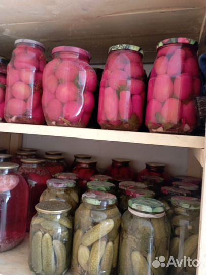 Огурцы. Помидоры солёные. Салаты