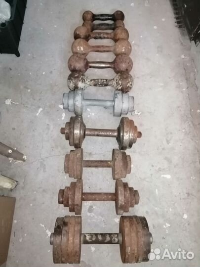 Гантели разборные